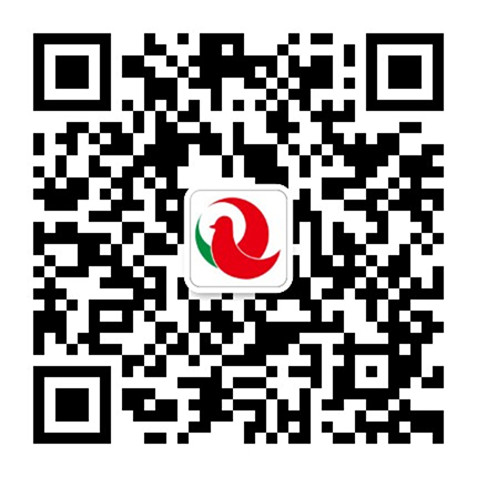 ag真人九游会官网登录网址